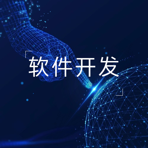 软件开发微信小程序网站系统软件定制建设开发