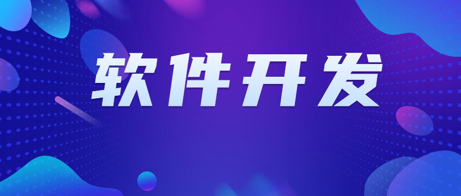 软件开发